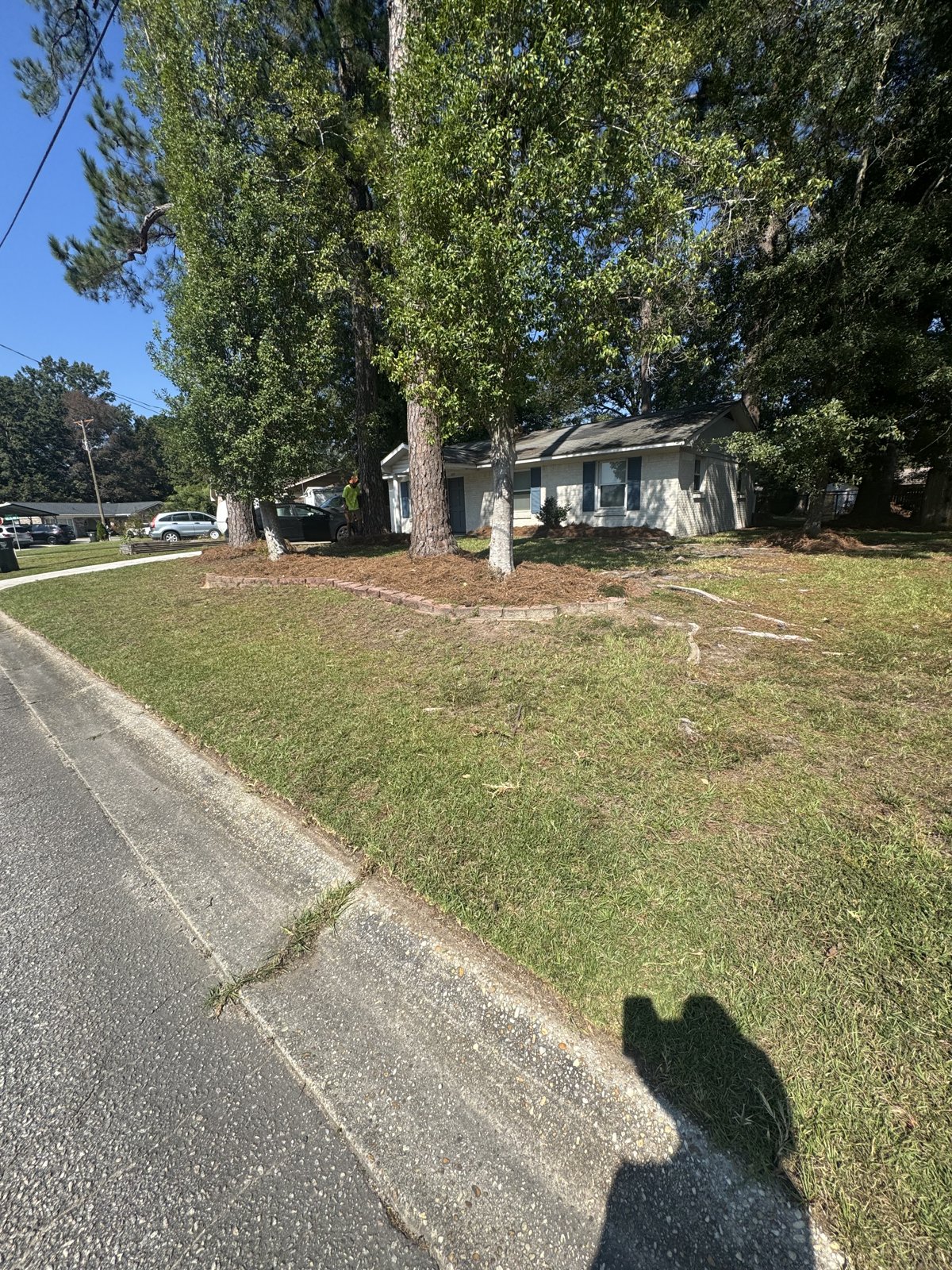 Completed B&B lawn and property care project 8